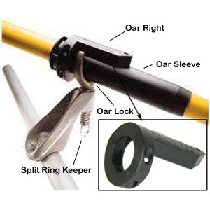 Large Oar Right
